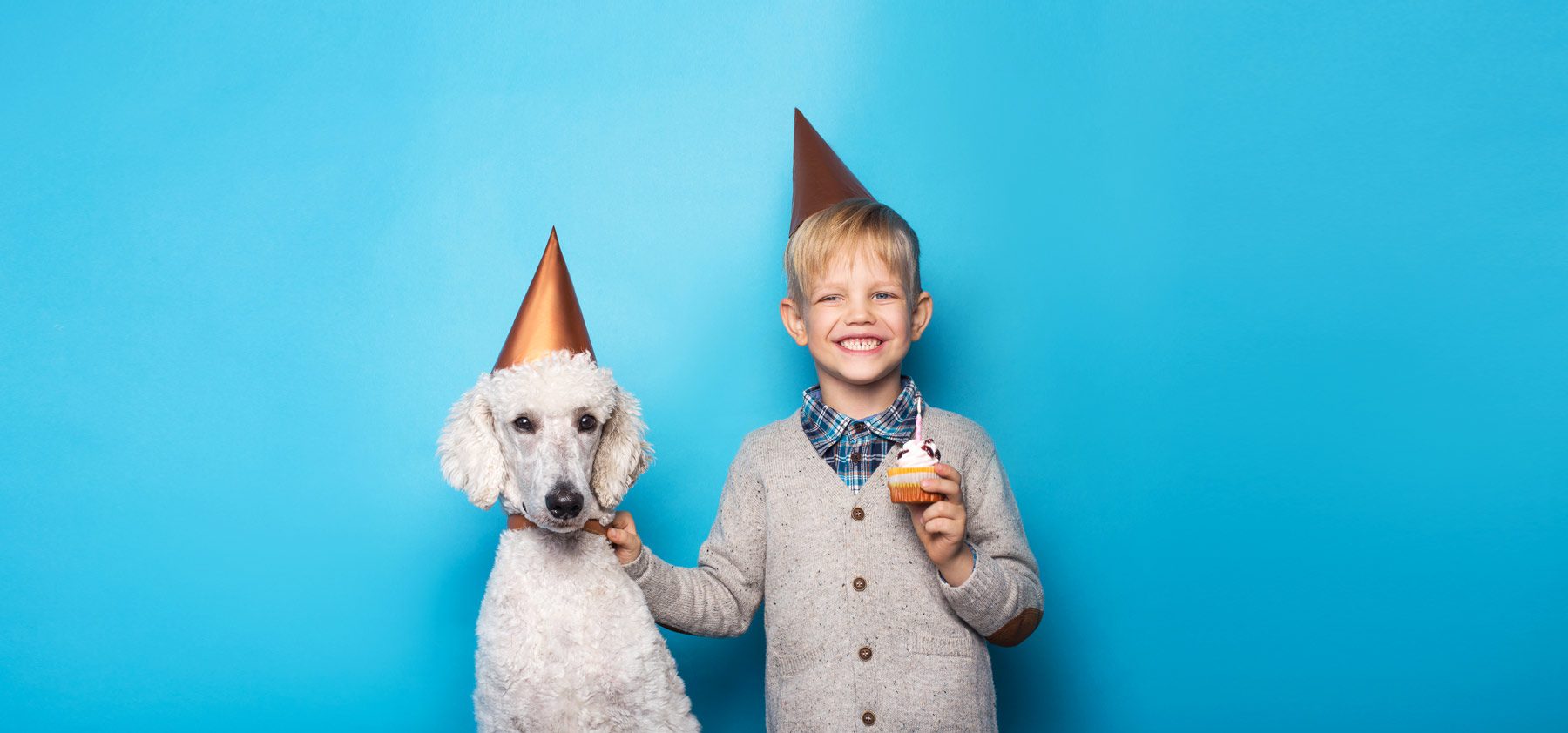 A boy and his dog wearing party hats.