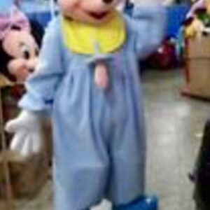 A person in mickey mouse costume posing for the camera.