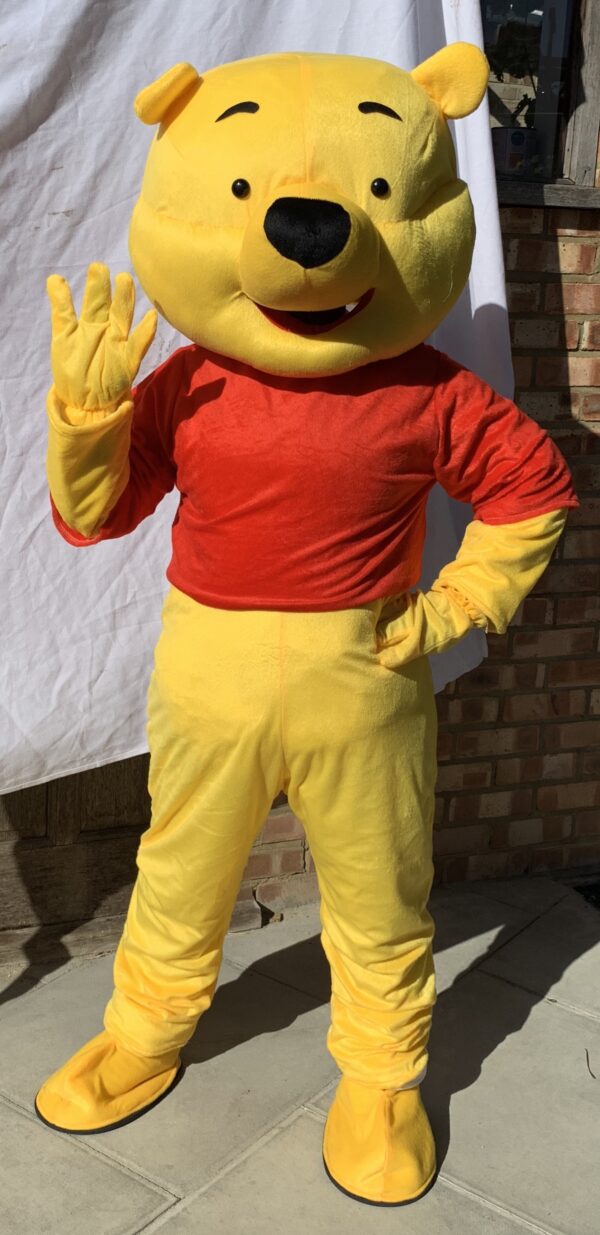 A person in a winnie the pooh costume