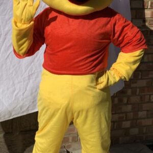 A person in a winnie the pooh costume