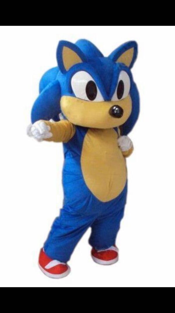 A blue and yellow sonic the hedgehog costume