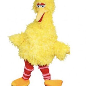 A big yellow bird with red socks and orange shoes.