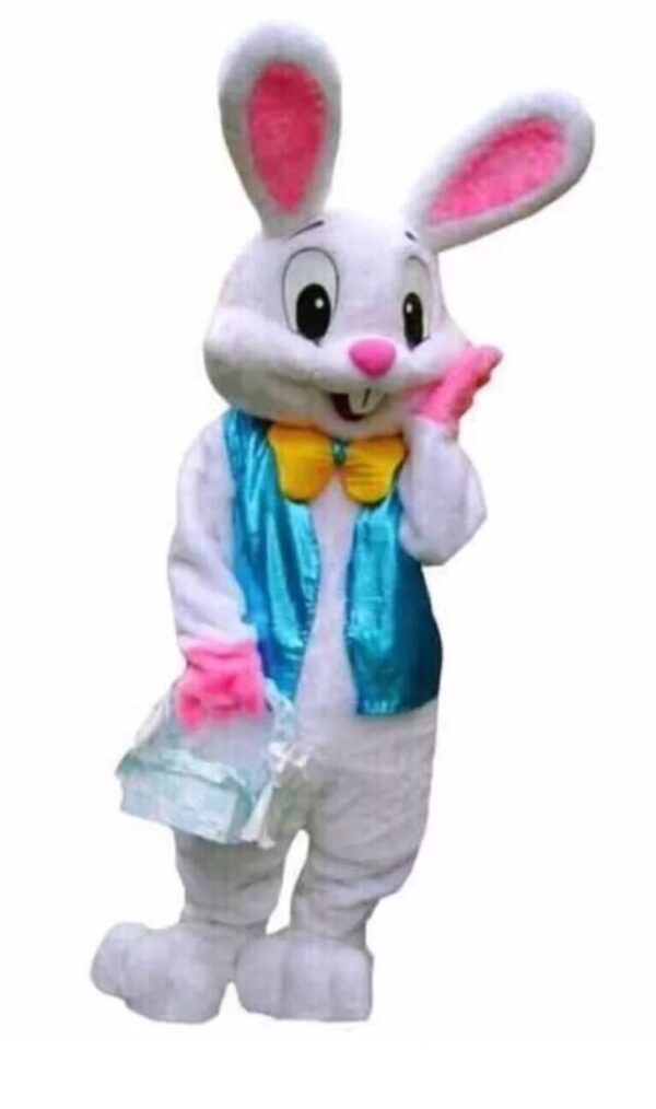 A person in costume for easter